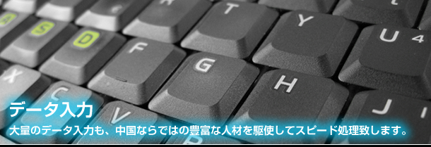 データ入力